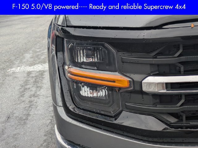 Used 2025 Ford F150 XLT w/ Equipment Group 301A Standard AWD/4WD image 10