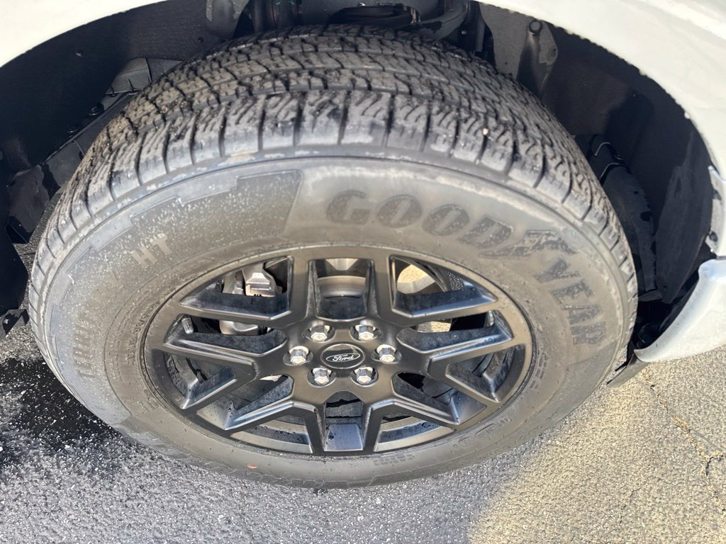 Used 2024 Ford F150 STX w/ STX Black Appearance Package RWD image 7