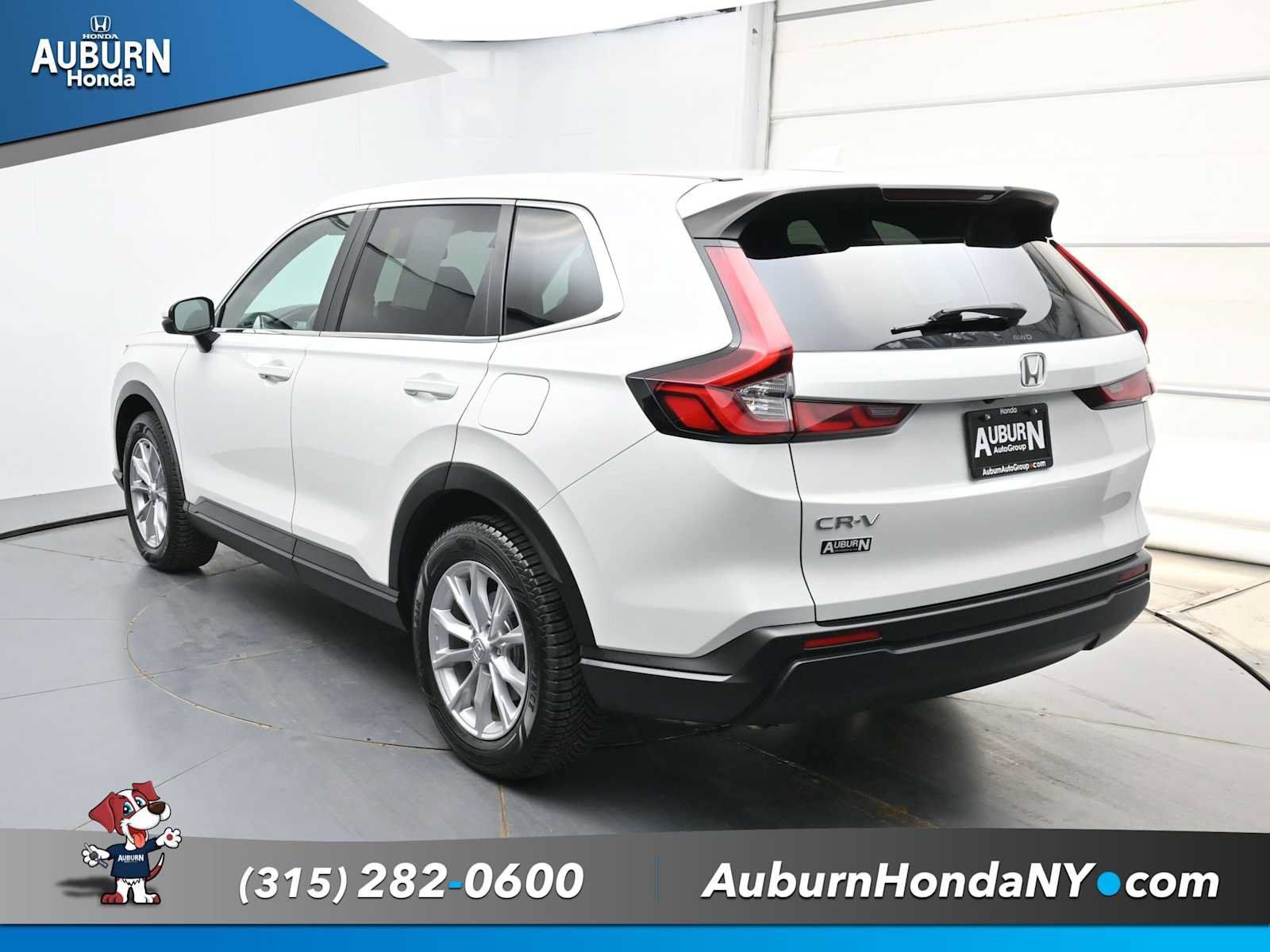 Used 2024 Honda CR-V EX image 14