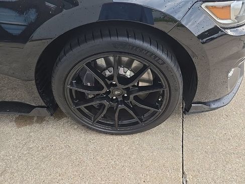 Used 2019 Ford Mustang Shelby GT350 w/ Technology Package RWD image 25