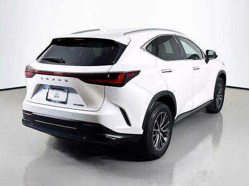 Certified 2025 Lexus NX 250 250 Premium image 5