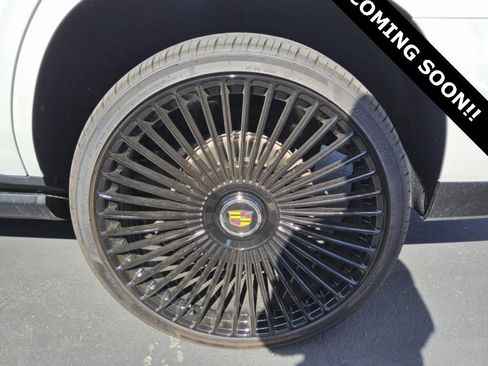 Used 2022 Cadillac Escalade Sport Platinum image 13