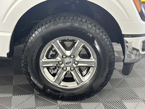 Used 2025 Ford F150 XLT w/ Equipment Group 301A Standard image 14