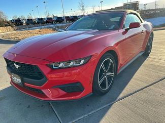 Used 2024 Ford Mustang Premium video 3