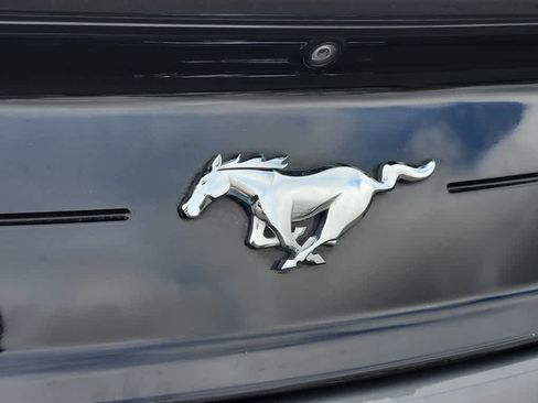 Used 2021 Ford Mustang EcoBoost w/ Equipment Group 101A image 19