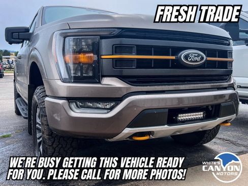 Used 2023 Ford F150 Tremor w/ 360 Degree Camera Package AWD/4WD image 1