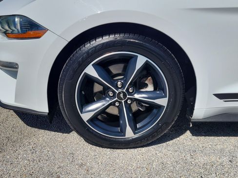 Used 2019 Ford Mustang Coupe w/ Equipment Group 101A RWD image 5