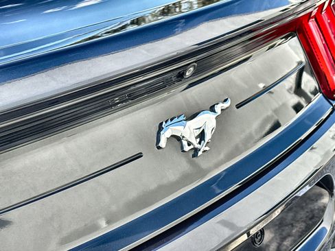 Used 2021 Ford Mustang EcoBoost w/ Equipment Group 101A image 7