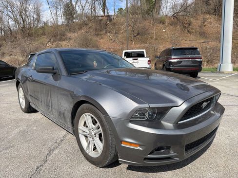 Used 2014 Ford Mustang Coupe w/ Equipment Group 102A image 1