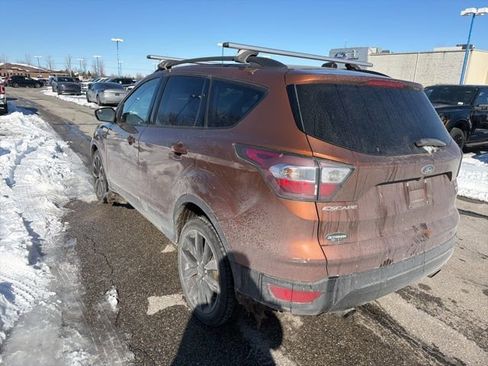 Used 2017 Ford Escape SE w/ SE Sport Appearance Package image 7