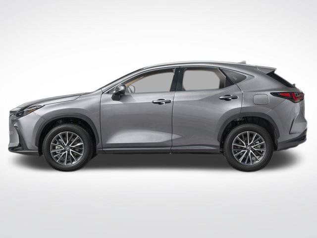 Used 2025 Lexus NX 350 AWD w/ Cold Area Package image 5