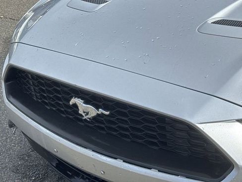 Used 2019 Ford Mustang Premium image 10