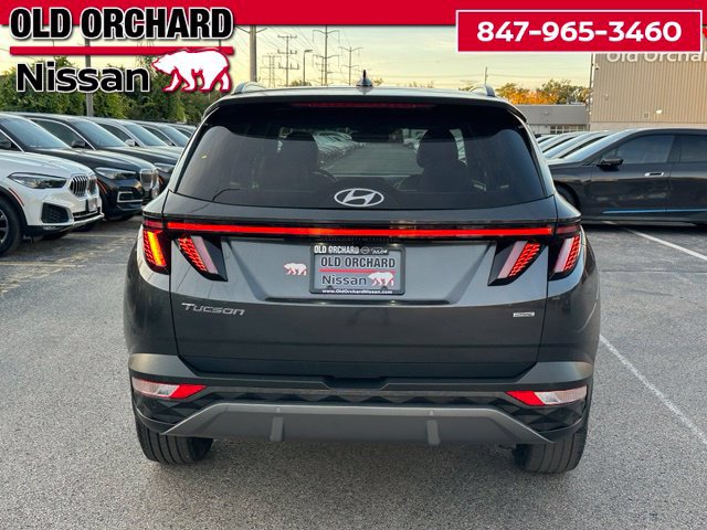 Used 2023 Hyundai Tucson Limited AWD/4WD image 7