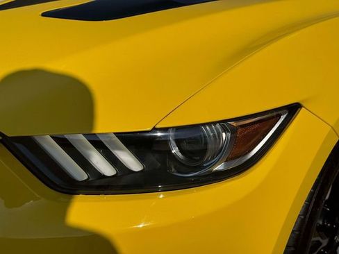 Used 2017 Ford Mustang GT Premium w/ Equipment Group 401A RWD image 12