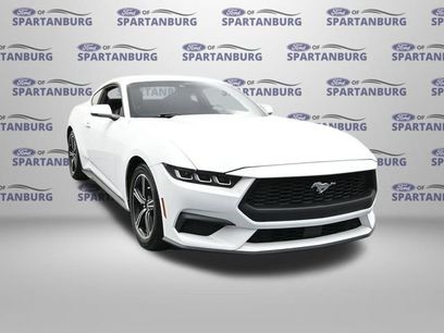 Used 2024 Ford Mustang Premium
