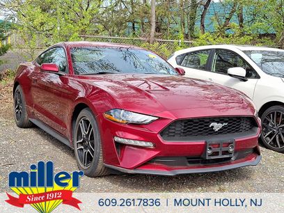 Used 2019 Ford Mustang Coupe w/ Equipment Group 101A