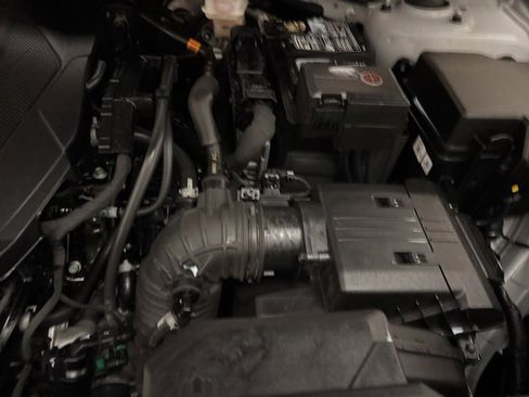 Used 2024 Kia Sportage X-Line image 23