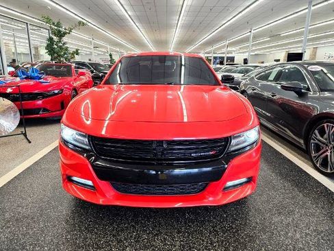 Used 2019 Dodge Charger SXT w/ Driver Confidence Group image 2