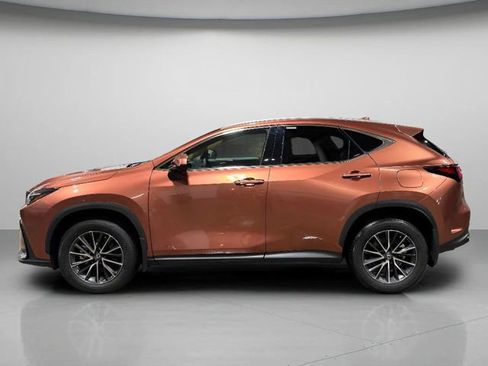 Used 2025 Lexus NX 350 w/ Accessory Package (2T) image 7
