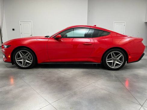 Used 2025 Ford Mustang Coupe RWD image 5