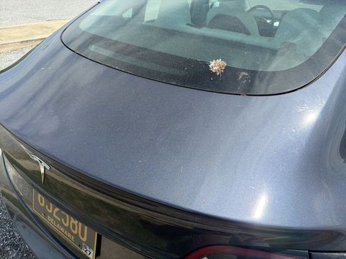 Used 2023 Tesla Model 3 Standard Range image 19