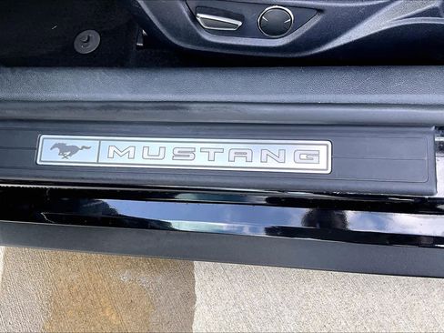 Used 2019 Ford Mustang Premium w/ Equipment Group 201A RWD image 9