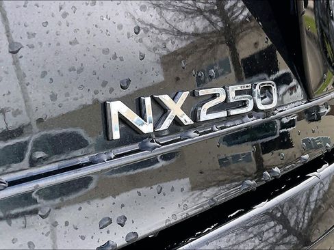 Used 2025 Lexus NX 250 FWD w/ Cold Area Package image 28