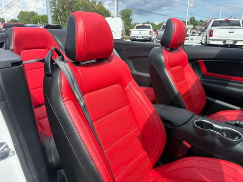 Used 2021 Ford Mustang GT Premium w/ Equipment Group 401A RWD image 6