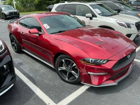 Used 2019 Ford Mustang Coupe w/ Equipment Group 101A RWD image 3