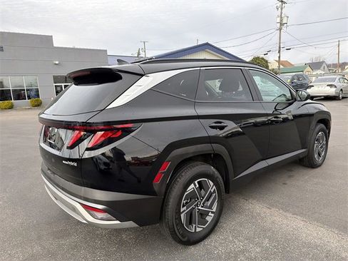 Used 2025 Hyundai Tucson Blue image 4