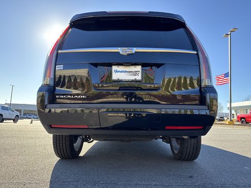 Used 2019 Cadillac Escalade Luxury image 9