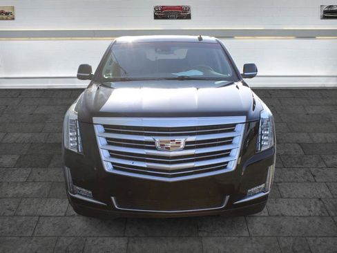 Used 2016 Cadillac Escalade Platinum image 2