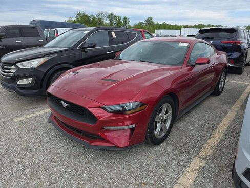 Used 2020 Ford Mustang Coupe RWD image 1