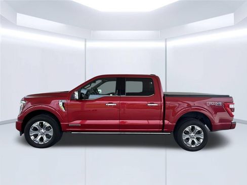 Used 2021 Ford F150 Platinum w/ Equipment Group 701A High AWD/4WD image 8