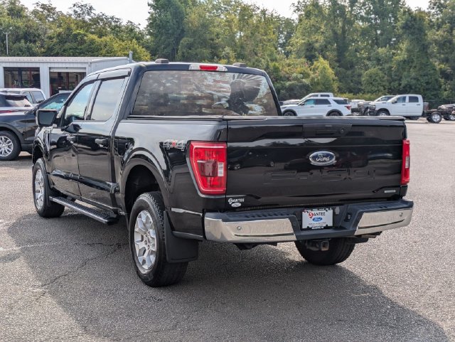 Used 2023 Ford F150 XLT w/ Equipment Group 301A Mid AWD/4WD image 5