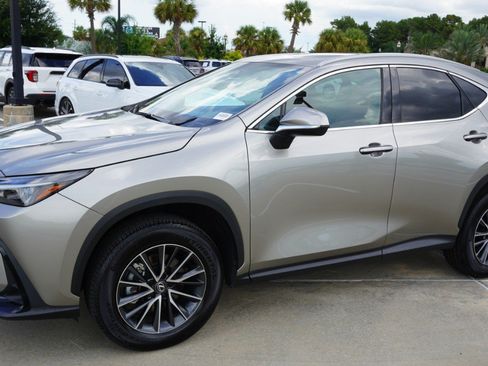 Certified 2024 Lexus NX 250 FWD w/ Cold Area Package image 5