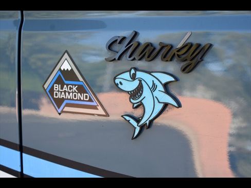 Used 2021 Ford Bronco Black Diamond image 62