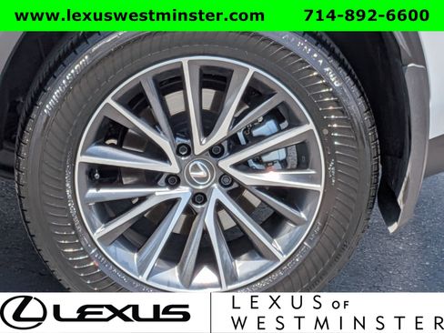 Used 2025 Lexus NX 350h AWD w/ Premium Package image 13