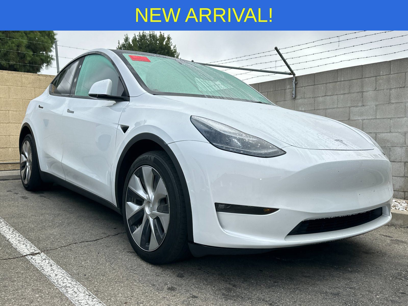 Used 2023 Tesla Model Y Long Range AWD/4WD image 1
