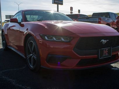 Used 2024 Ford Mustang Premium