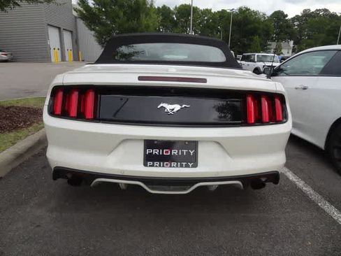 Used 2017 Ford Mustang Premium w/ Equipment Group 201A RWD image 5