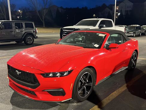 Used 2025 Ford Mustang Premium image 2