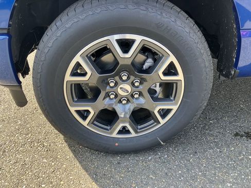 New 2025 Ford F150 STX w/ Equipment Group 200A image 14