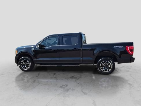 Used 2023 Ford F150 XLT w/ Equipment Group 302A High AWD/4WD image 5