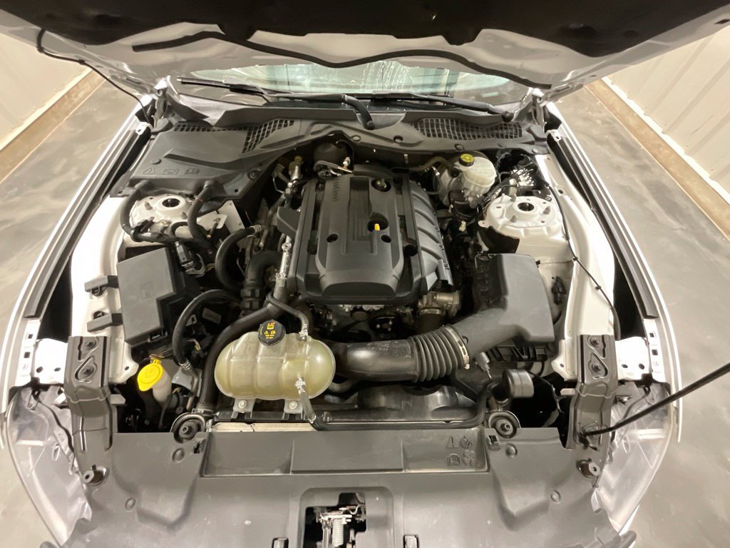 Used 2019 Ford Mustang Coupe w/ Equipment Group 101A RWD image 9