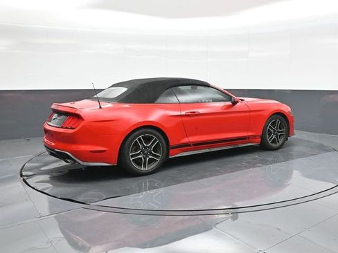 Used 2019 Ford Mustang Premium image 15