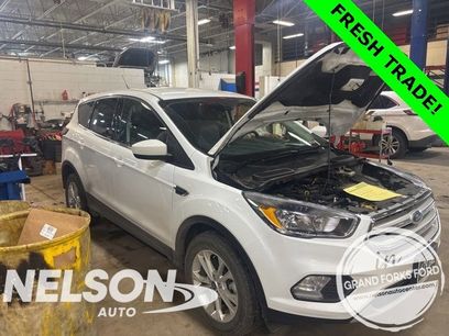 Used 2019 Ford Escape SE