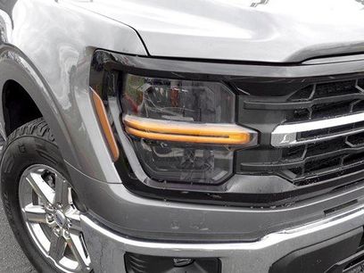 Used 2025 Ford F150 XLT w/ Equipment Group 301A Standard