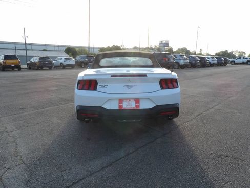 Used 2025 Ford Mustang Premium RWD image 8