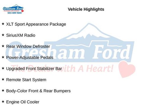 Used 2019 Ford F150 XLT w/ Equipment Group 302A Luxury AWD/4WD image 10